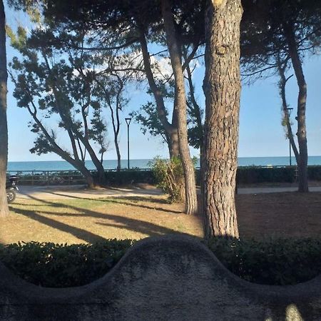 Room In Bb - Spacious Double Room Beside The Sea Pineto Exterior photo