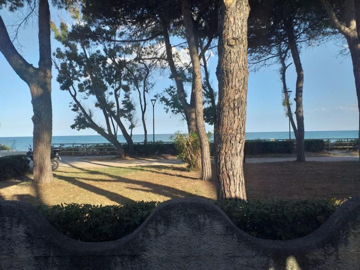 Room In Bb - Spacious Double Room Beside The Sea Pineto Exterior photo