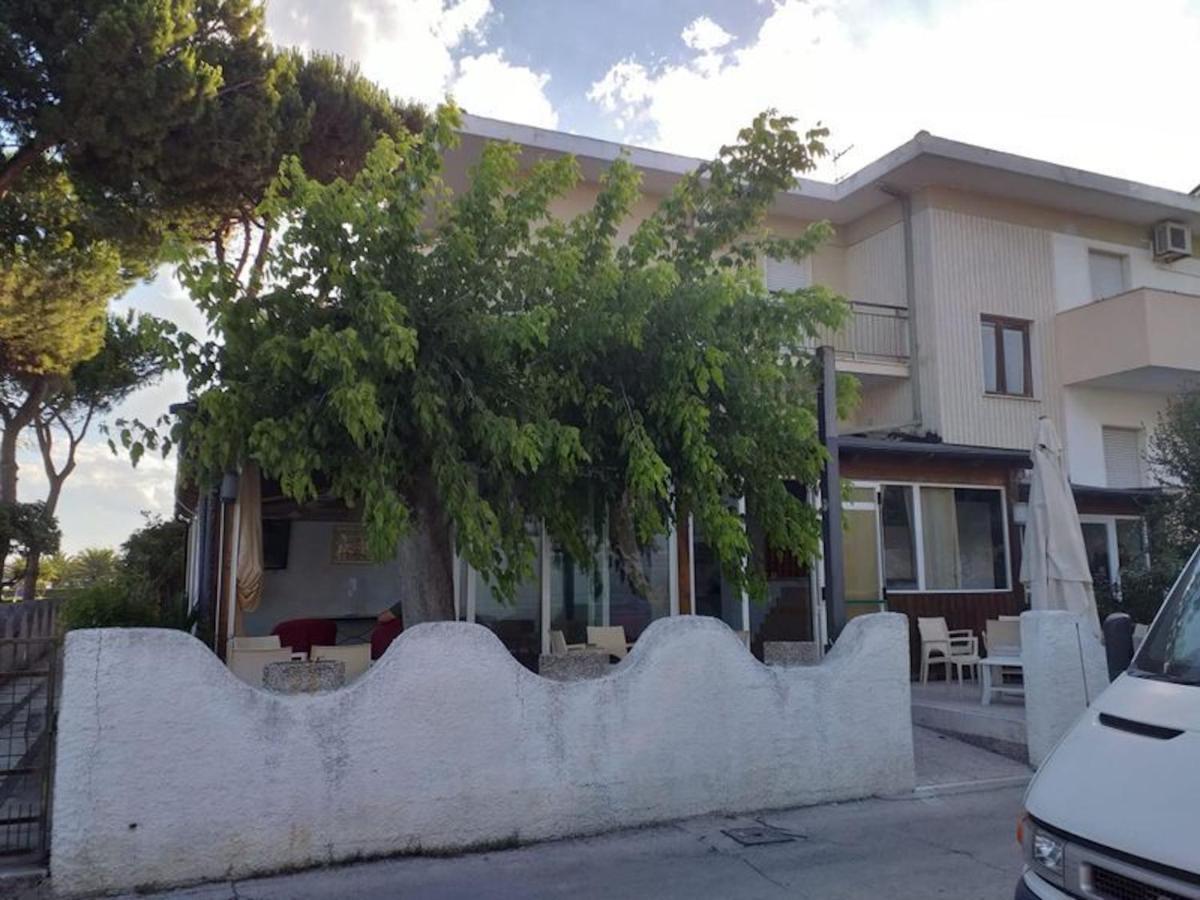 Room In Bb - Spacious Double Room Beside The Sea Pineto Exterior photo