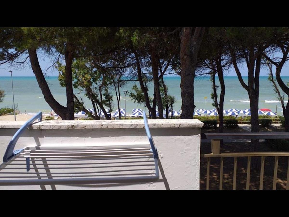 Room In Bb - Spacious Double Room Beside The Sea Pineto Exterior photo